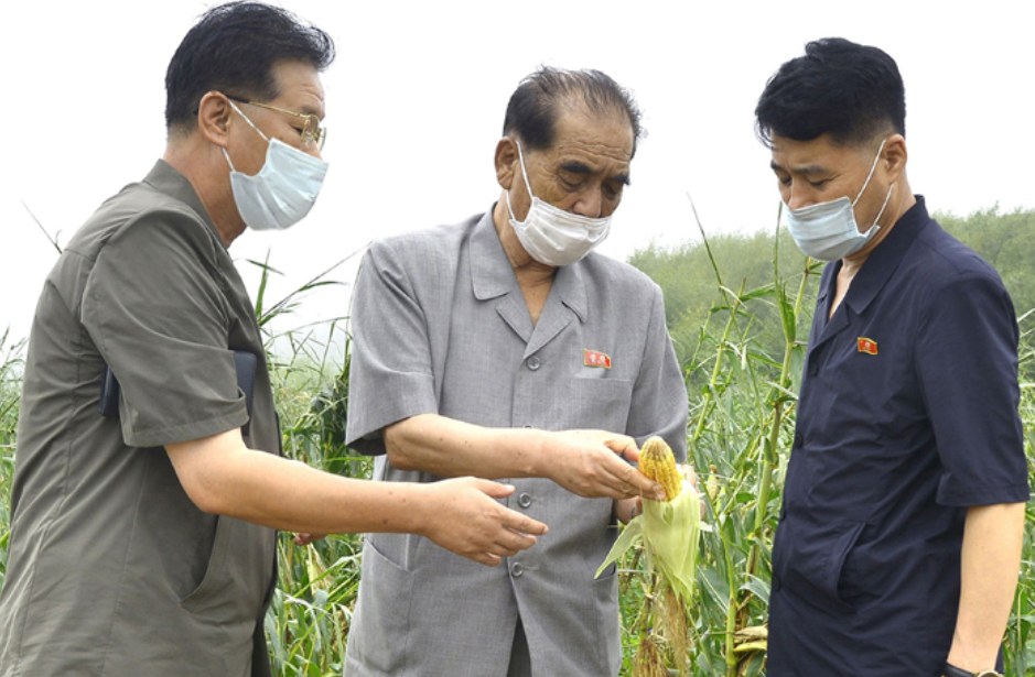Pak Pong Ju Inspects Recovery from Typhoon Damage in South Hwanghae Province