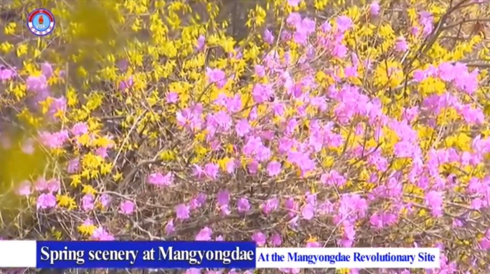 Video: Spring Scenery at Mangyongdae