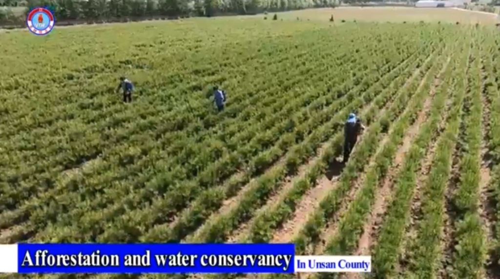 Video: Afforestation and Water Conservancy Pushed Forward