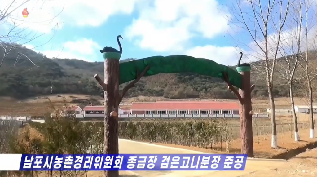 Video: Black Swan Branch Farm Inaugurated in Nampo