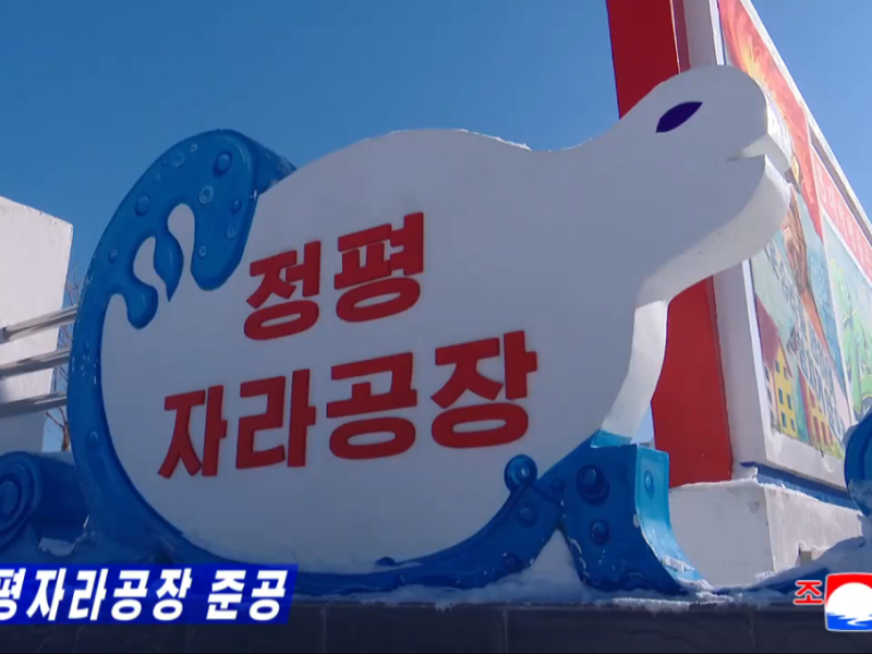 Video: Jongpyong Terrapin Farm Inaugurated